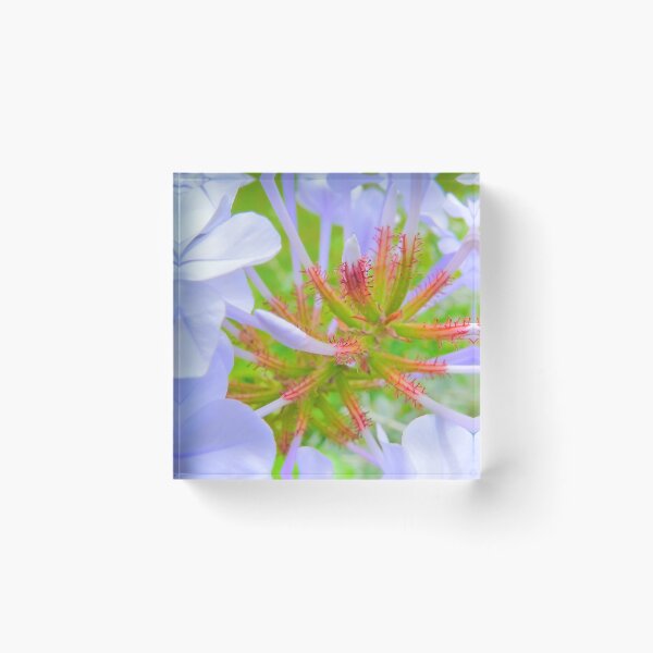 Item preview, purple flower designed and sold by Tereza Pilar  Art.