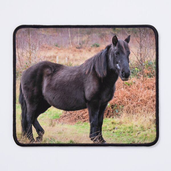 Item preview, Konik Pony designed and sold by JEZ22.