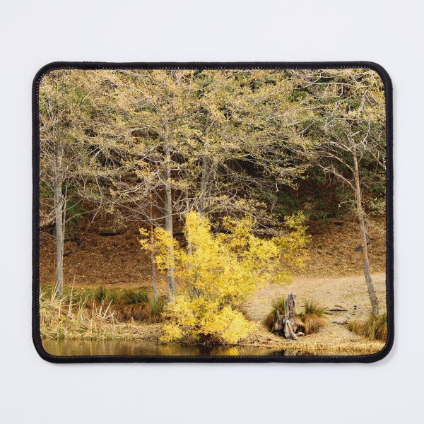 Item preview, Idyllwild - Pine Cove designed and sold by supernova23.