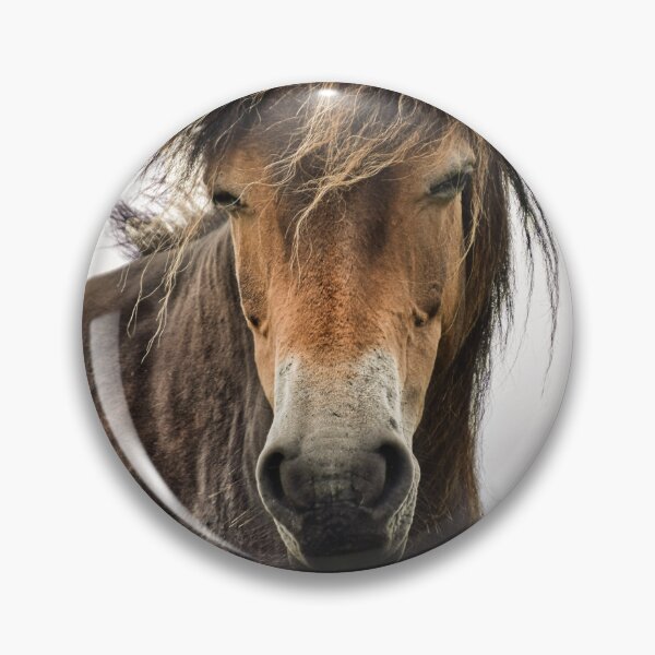 Item preview, Exmoor Pony designed and sold by Ukphotos.