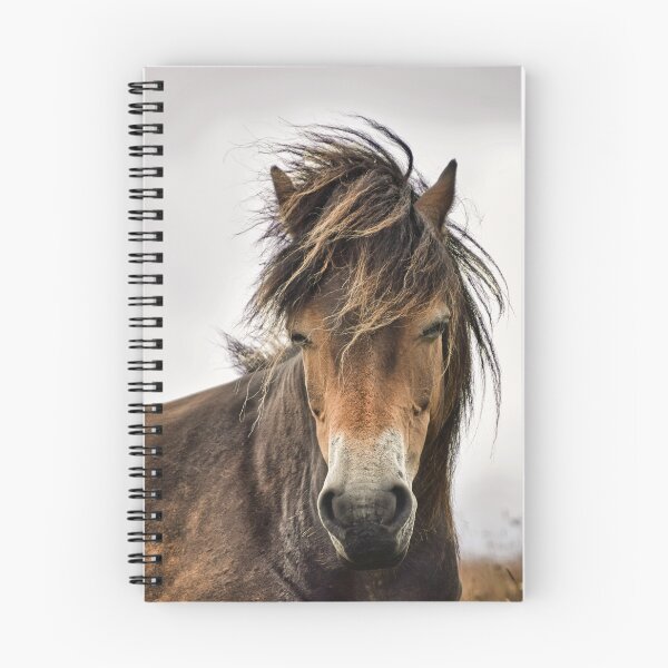 Item preview, Exmoor Pony designed and sold by Ukphotos.