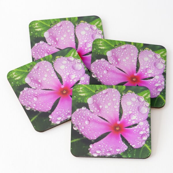 Artikelvorschau, Blume CLPLy entworfen und verkauft von travisemall.