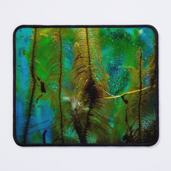 Item preview, Terrarium Dream 3 designed and sold by Geoff Treagus.