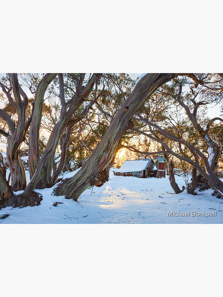 Thumbnail 2 of 2, Art Board Print, Wallace Hut Dawn, Falls Creek, Victoria, Australia designed and sold by Chockstone.