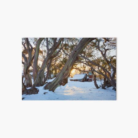 Wallace Hut Dawn, Falls Creek, Victoria, Australia Art Board Print