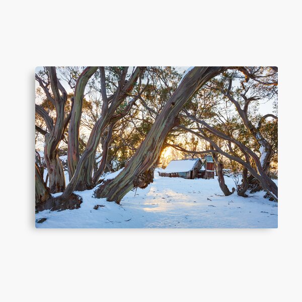 Item preview, Wallace Hut Dawn, Falls Creek, Victoria, Australia designed and sold by Michael Boniwell.