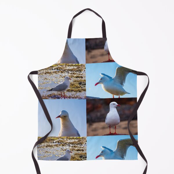 Item preview, Australian Seagulls no text designed and sold by jdrphotos.