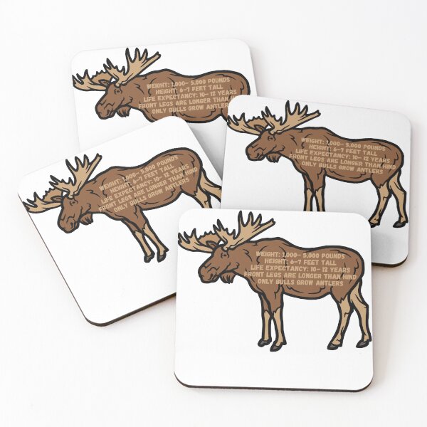 Item preview, Moose Facts designed and sold by Practical Stickers.