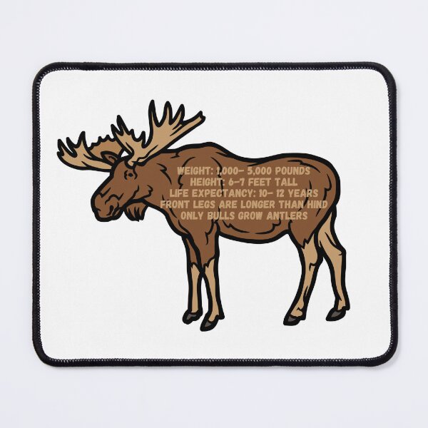 Item preview, Moose Facts designed and sold by Practical Stickers.