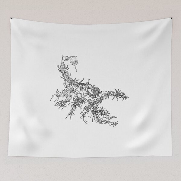 Item preview, Arachnids - Black and White - Spiders, Scorpions - Evolution designed and sold by EvolutionPoster.
