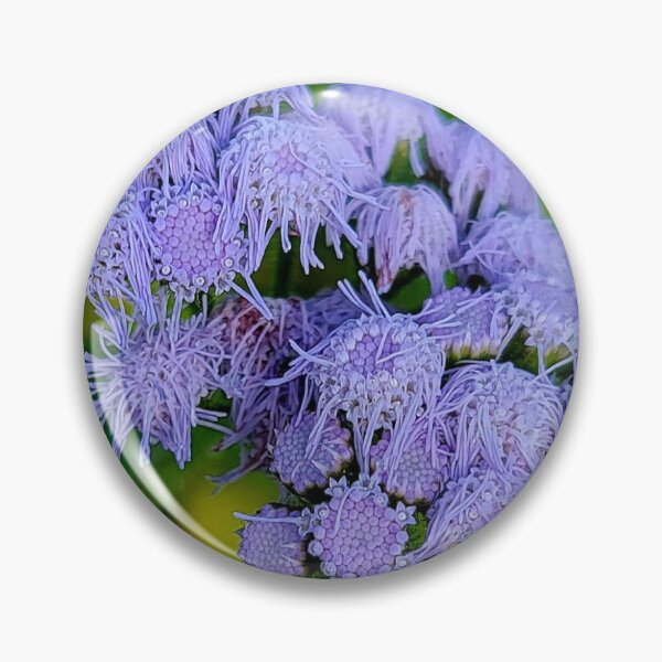 Aperçu de l'œuvre Fleurs sauvages sur le sentier créée et vendue par Jmb67.