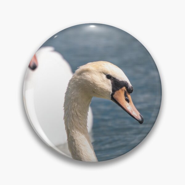 Item preview, Two Swans On A Pond designed and sold by Split2ndPhotos.