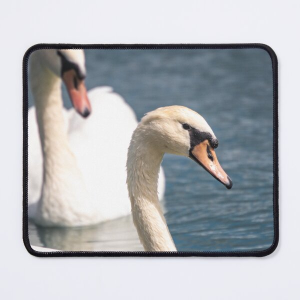 Item preview, Two Swans On A Pond designed and sold by Split2ndPhotos.