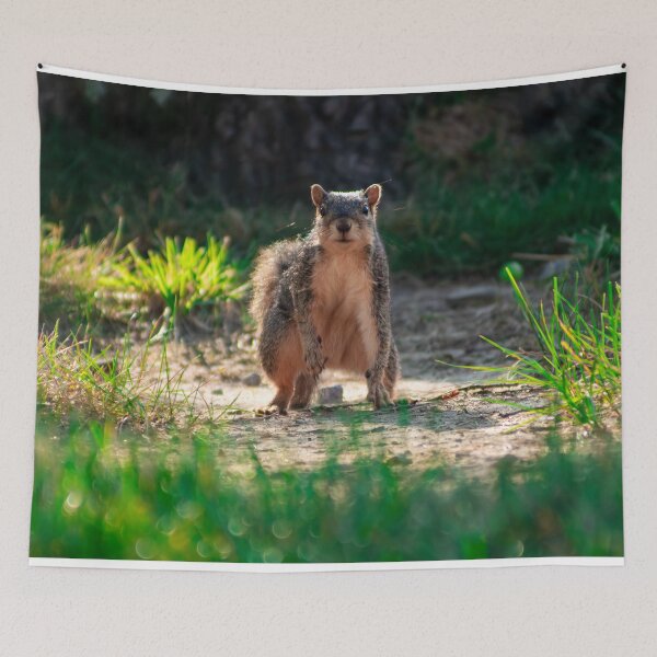 Item preview, Superhero Squirrel designed and sold by Split2ndPhotos.