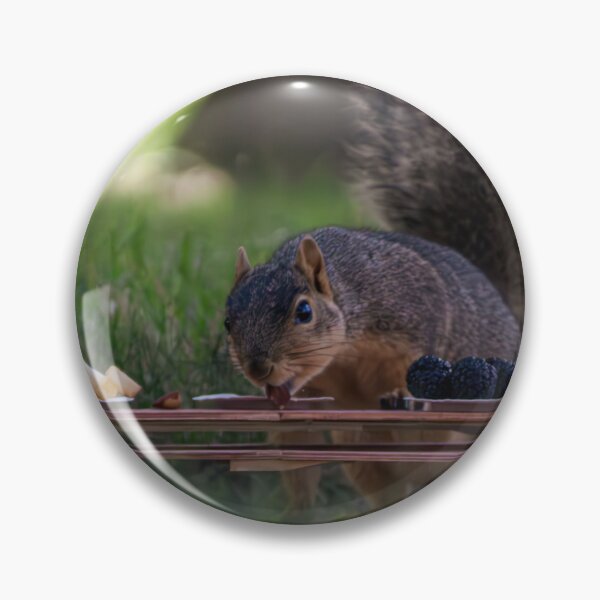 Item preview, Just A Squirrel Having A Picnic designed and sold by Split2ndPhotos.
