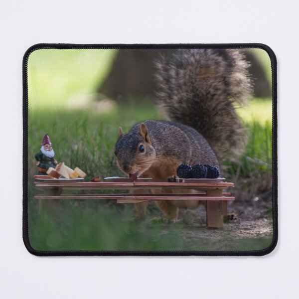 Item preview, Just A Squirrel Having A Picnic designed and sold by Split2ndPhotos.