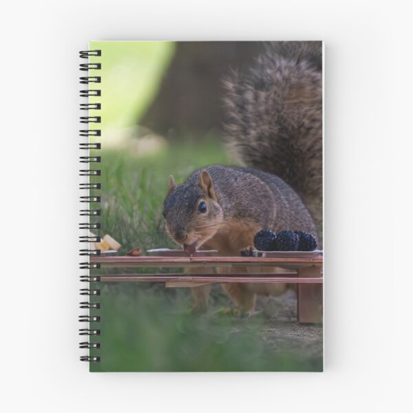 Item preview, Just A Squirrel Having A Picnic designed and sold by Split2ndPhotos.