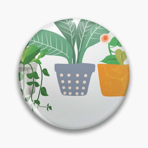 Item preview, Houseplants designed and sold by Coastal Garden Design Studio.