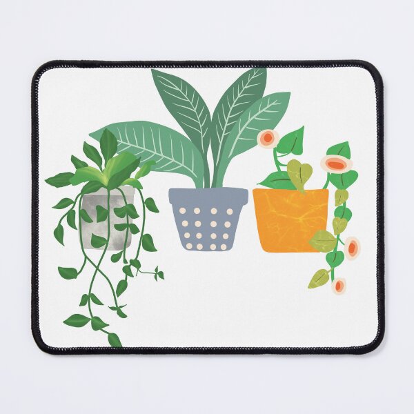 Item preview, Houseplants designed and sold by Coastal Garden Design Studio.