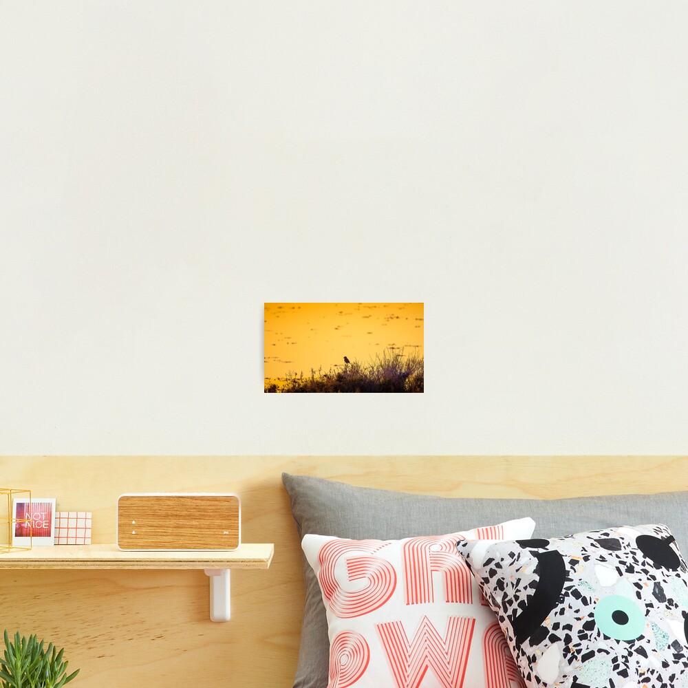 Item preview, Photographic Print designed and sold by RalphGoldsmith.