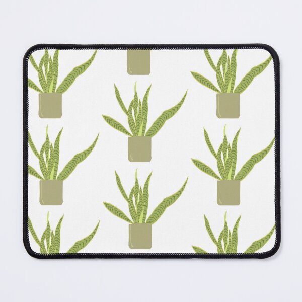 Item preview, Snake plant, house plant designed and sold by cherrynat1.