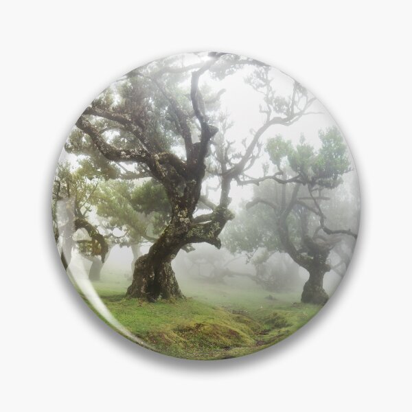 Item preview, Fanal forest 06 Short designed and sold by Weston  Westmoreland.