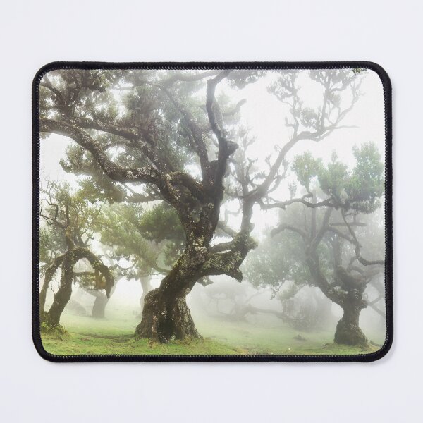 Item preview, Fanal forest 06 Short designed and sold by Weston  Westmoreland.
