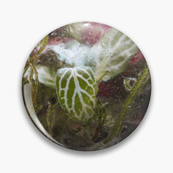 Item preview, Terrarium Dreams 5 designed and sold by Geoff Treagus.