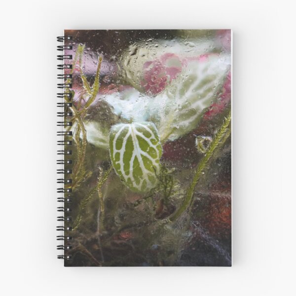 Item preview, Terrarium Dreams 5 designed and sold by Geoff Treagus.