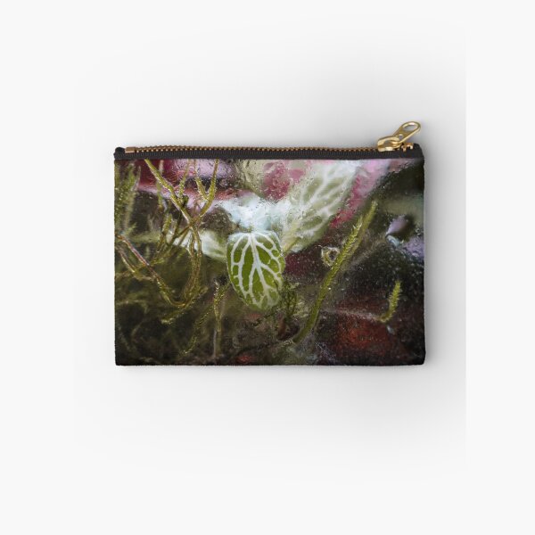 Item preview, Terrarium Dreams 5 designed and sold by Geoff Treagus.