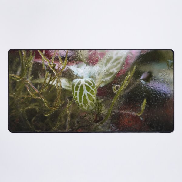 Item preview, Terrarium Dreams 5 designed and sold by Geoff Treagus.