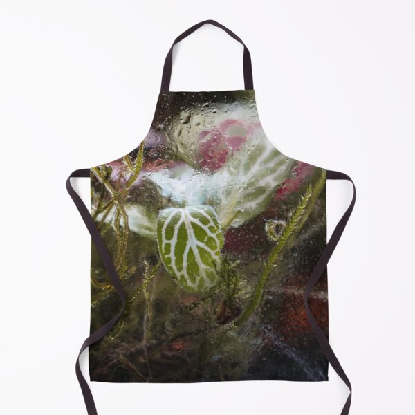 Item preview, Terrarium Dreams 5 designed and sold by Geoff Treagus.