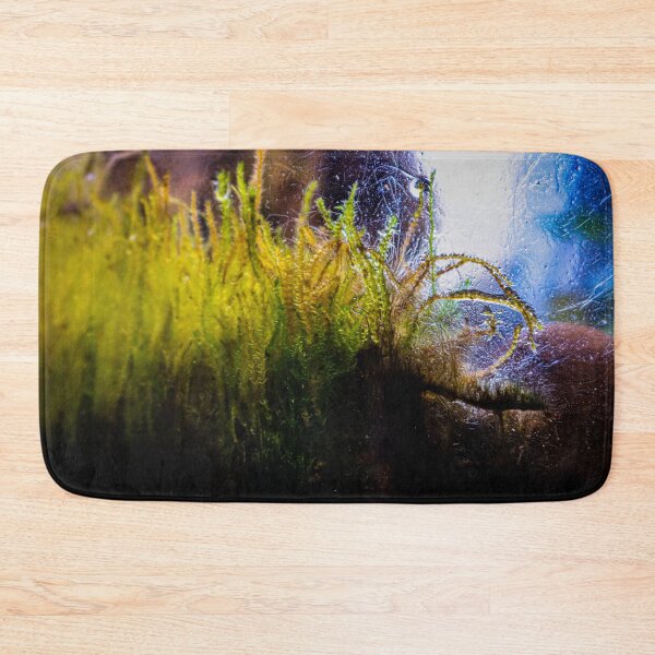 Item preview, Terrarium Dreams 6 designed and sold by Geoff Treagus.