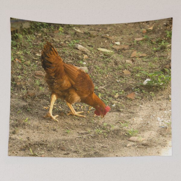 Item preview, Chicken in the backyard designed and sold by felipequeiroz.
