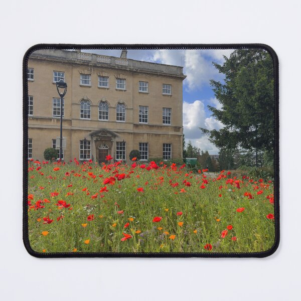 Item preview, Royal Fort Bristol designed and sold by Graz-Photos.