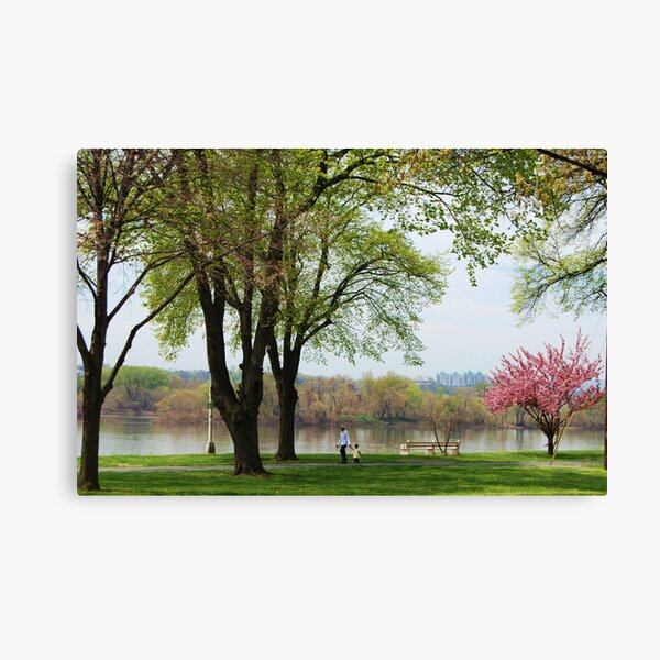 Tranquility Canvas Print