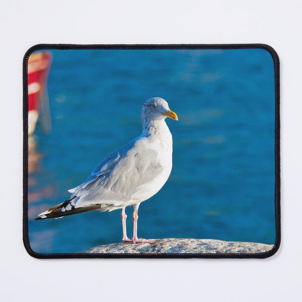 Item preview, Herring Gull - Larus argentatus designed and sold by Dorset Girl.