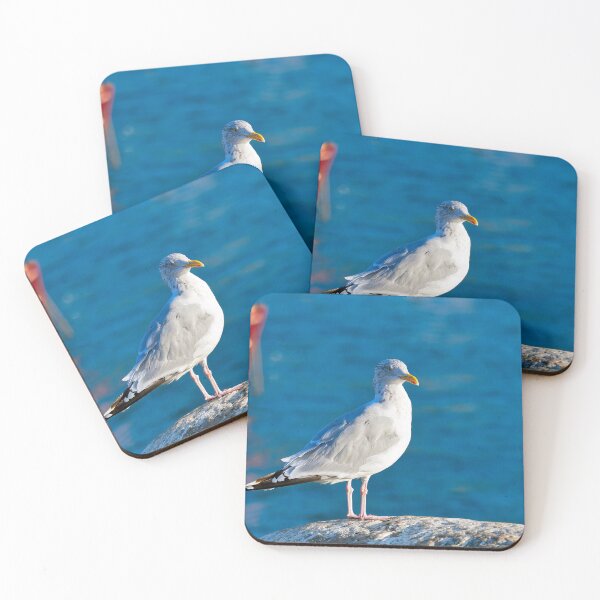 Item preview, Herring Gull - Larus argentatus designed and sold by Dorset Girl.