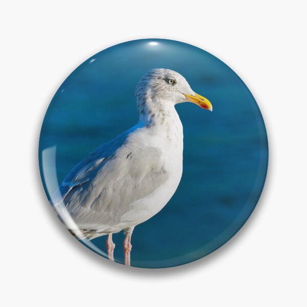 Item preview, Herring Gull - Larus argentatus designed and sold by Dorset Girl.