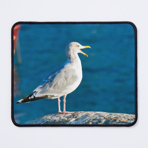 Item preview, Herring Gull - Larus argentatus designed and sold by Dorset Girl.
