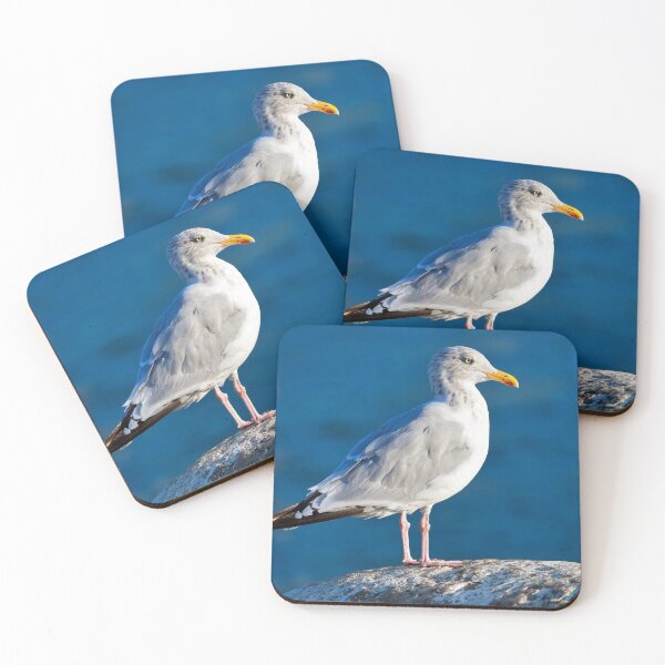 Item preview, Herring Gull - Larus argentatus designed and sold by Dorset Girl.