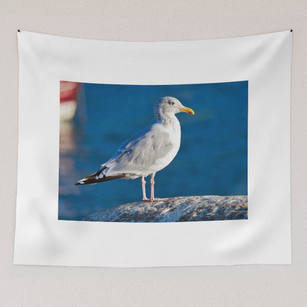 Item preview, Herring Gull - Larus argentatus designed and sold by Dorset Girl.