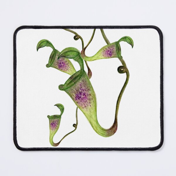 Item preview, Nepenthes designed and sold by kokoape.