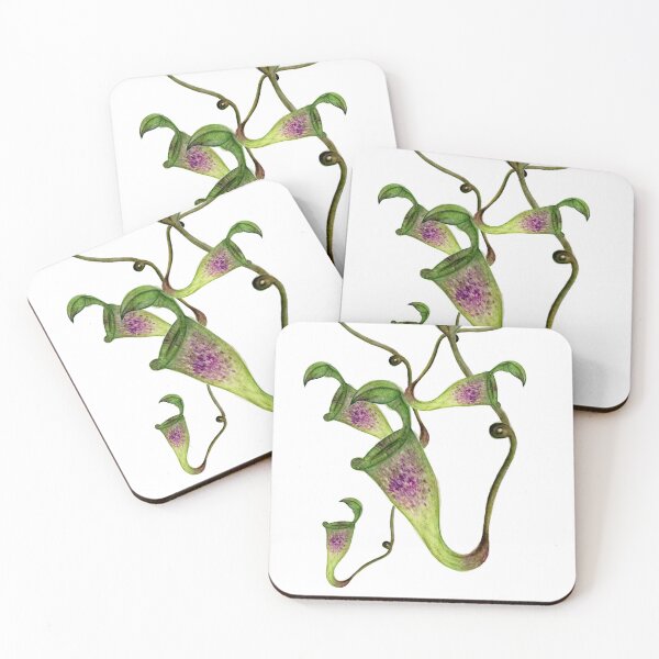 Item preview, Nepenthes designed and sold by kokoape.