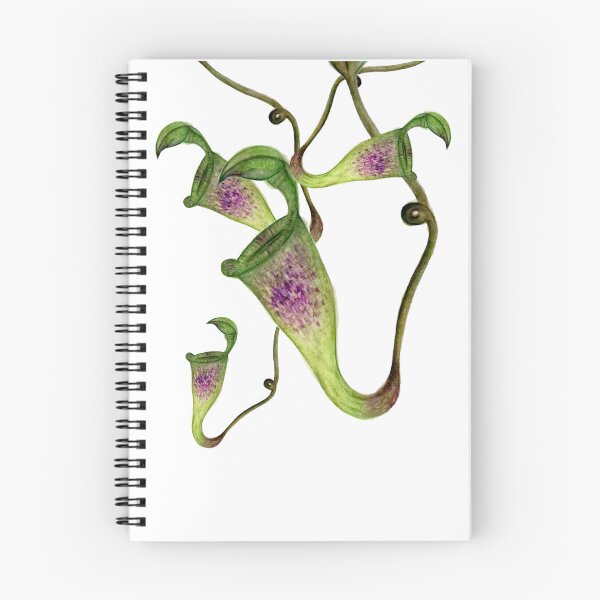 Item preview, Nepenthes designed and sold by kokoape.