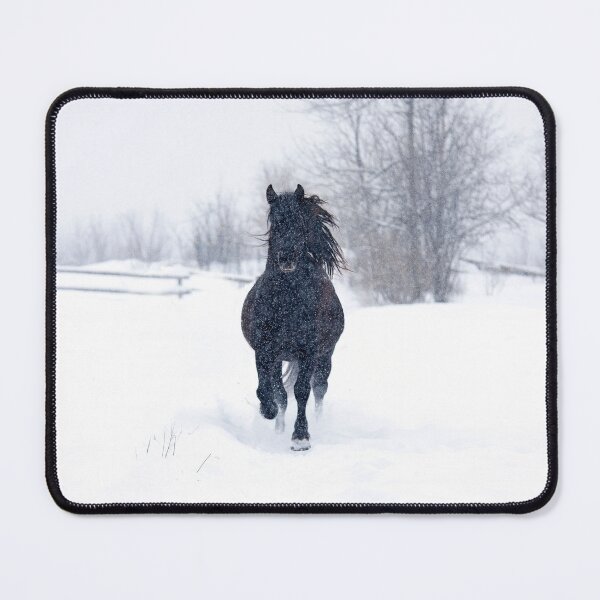 Item preview, Dashing through the snow - Horse designed and sold by James Cumming.