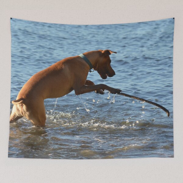 Item preview, Fishing designed and sold by lizdomett.