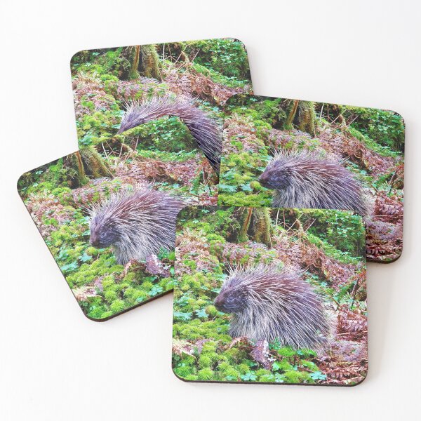 Item preview, Porcupine in Juneau, Alaska designed and sold by imerikana.
