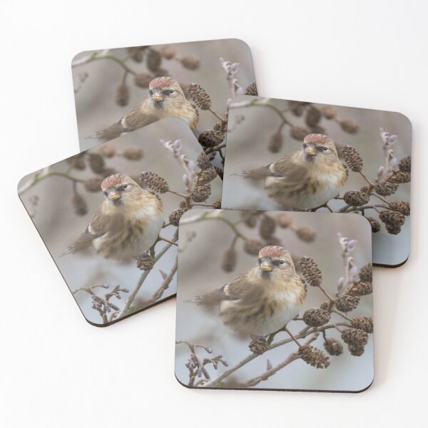 Item preview, Redpoll designed and sold by LaurenTucker.