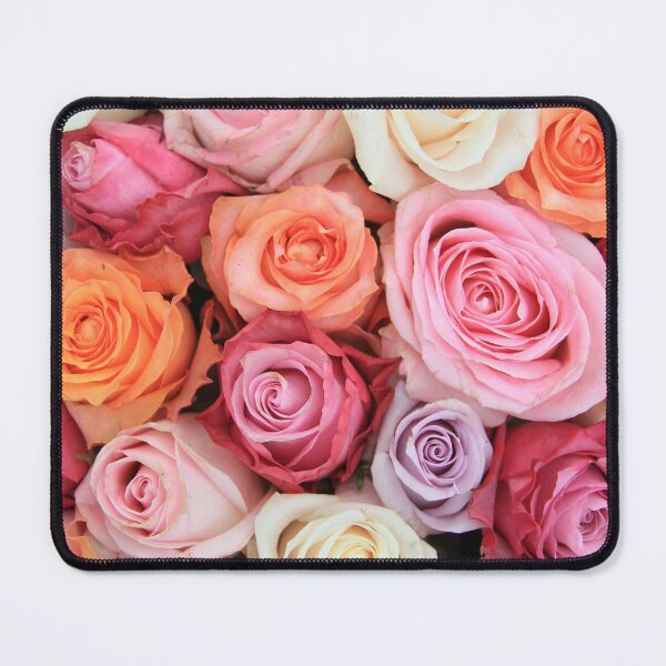Item preview, Blush Pink, Lavender, and Orange Roses Blooming designed and sold by newburyboutique.